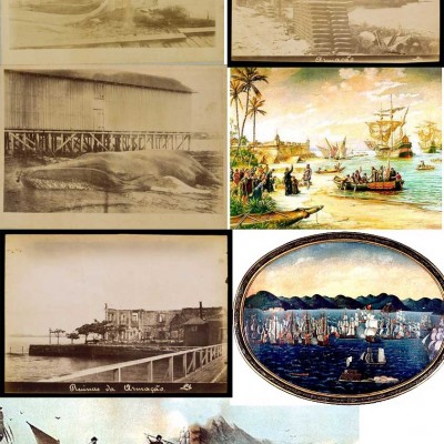 Imaqgens de referencia histórica de pesca a baleia barracuda